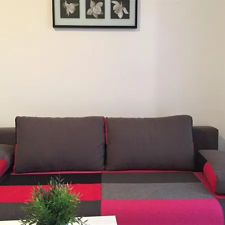 Orhideja